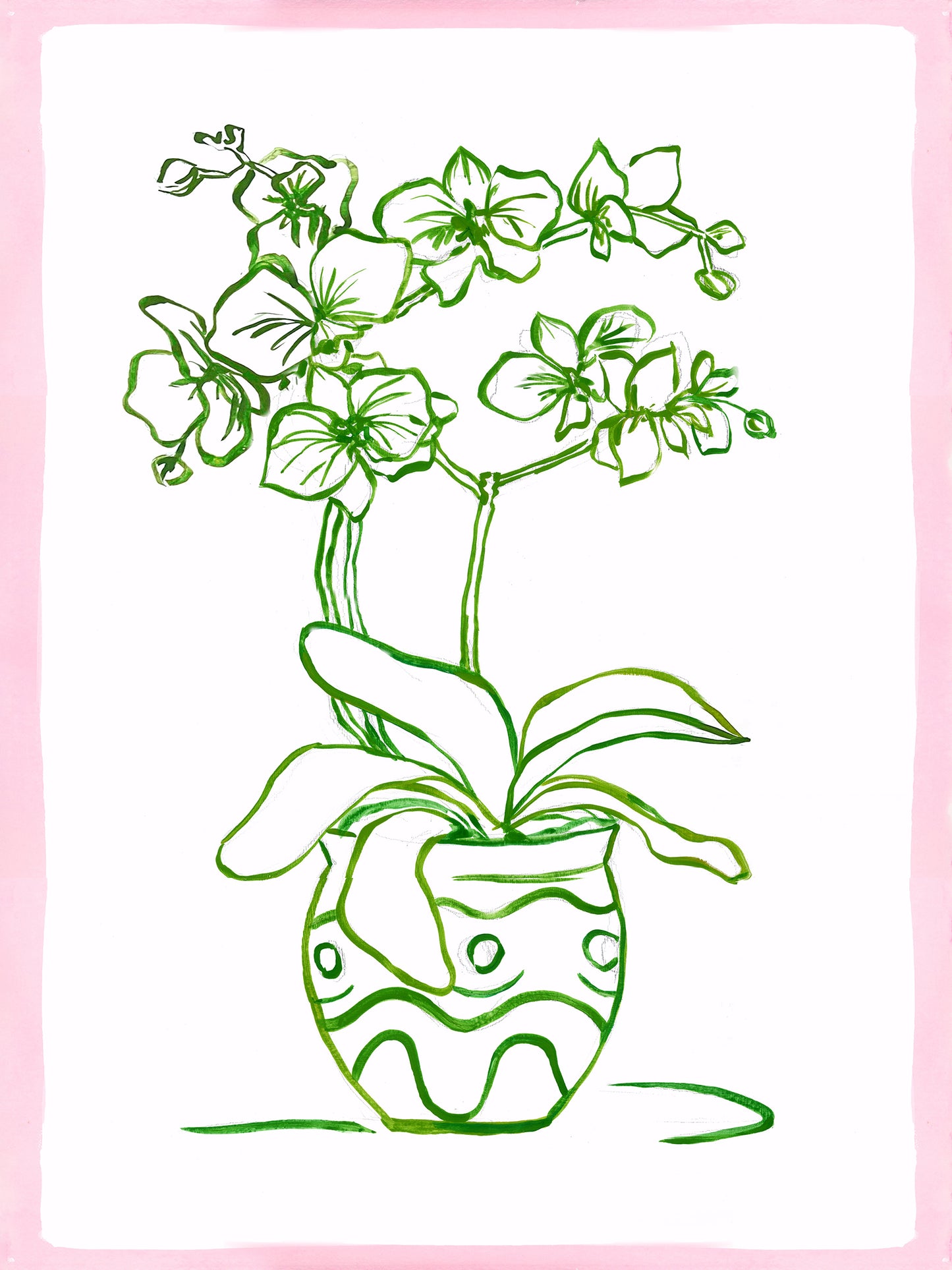 Dover Orchid 2