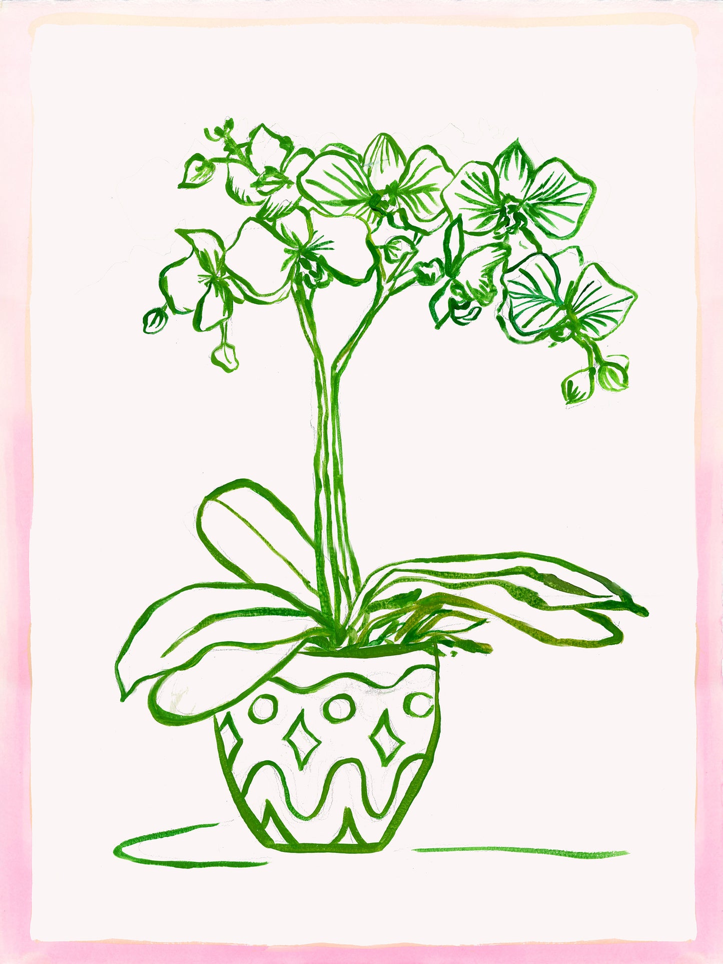 Dover Orchid 3