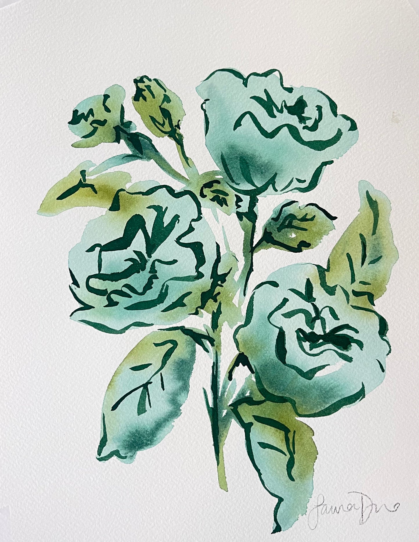 Verdant Roses Illustration