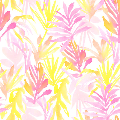 Sundrenched Palm in Pinks Wallpaper