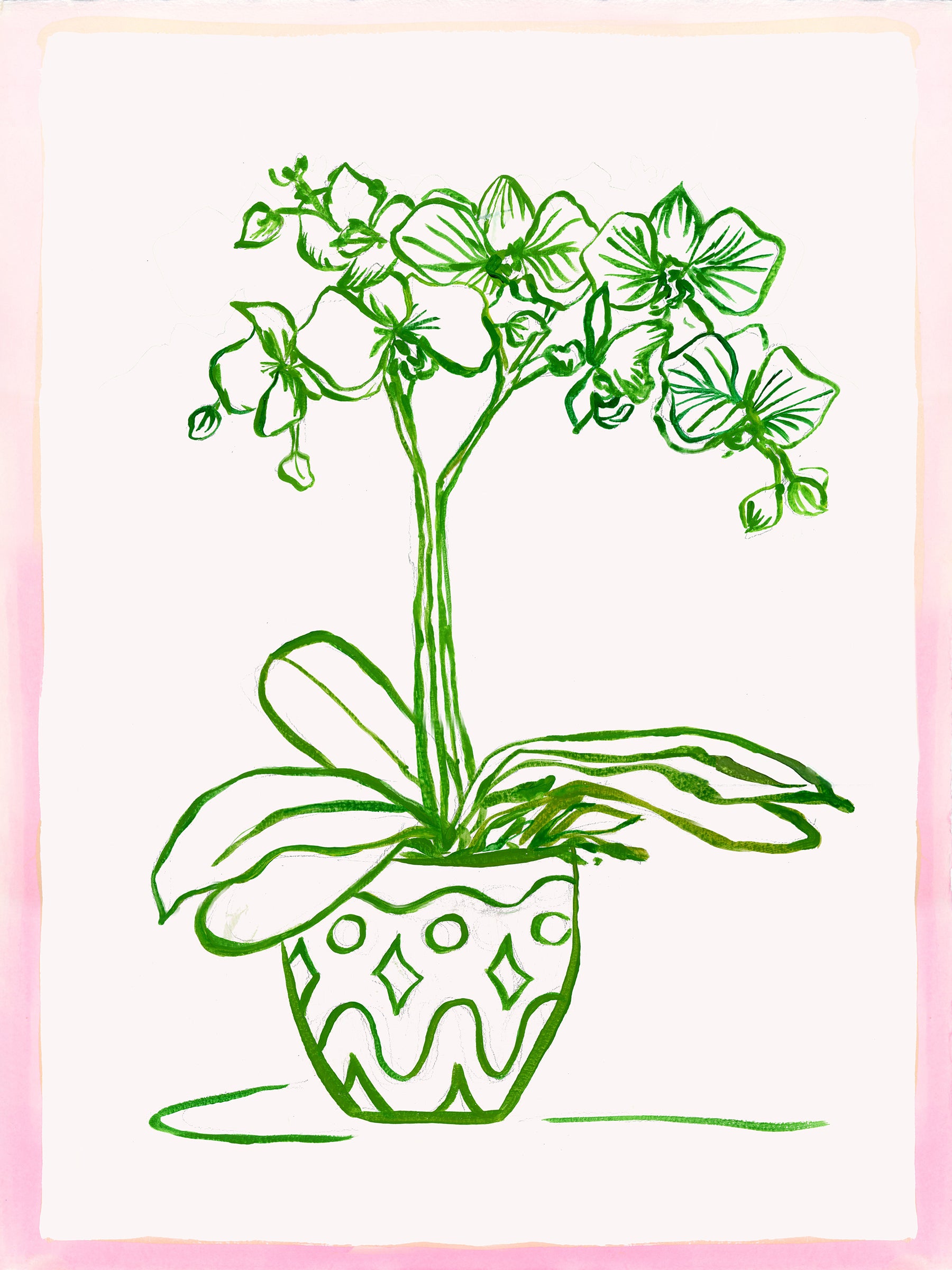 Dover Orchid 3
