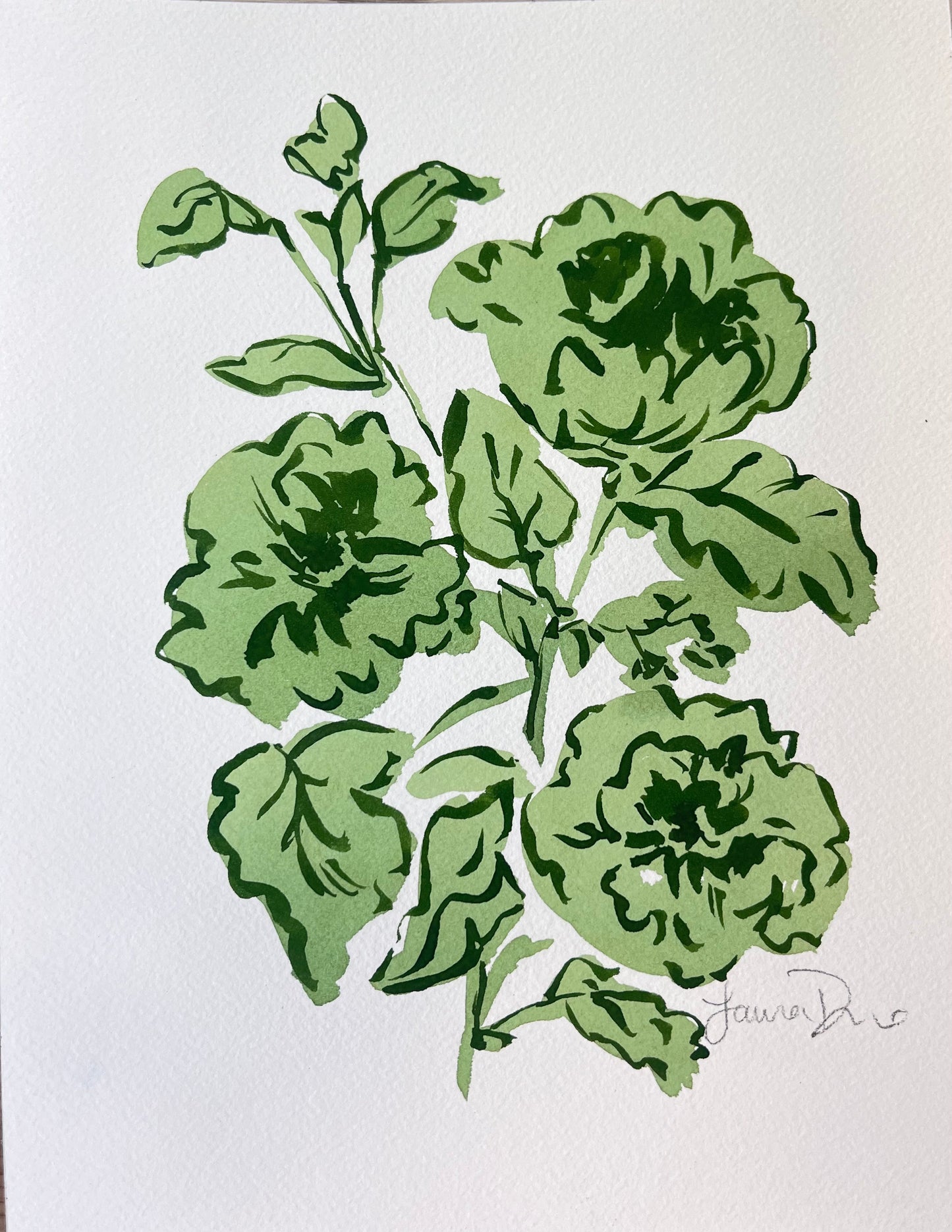 Natural Green Roses Illustration