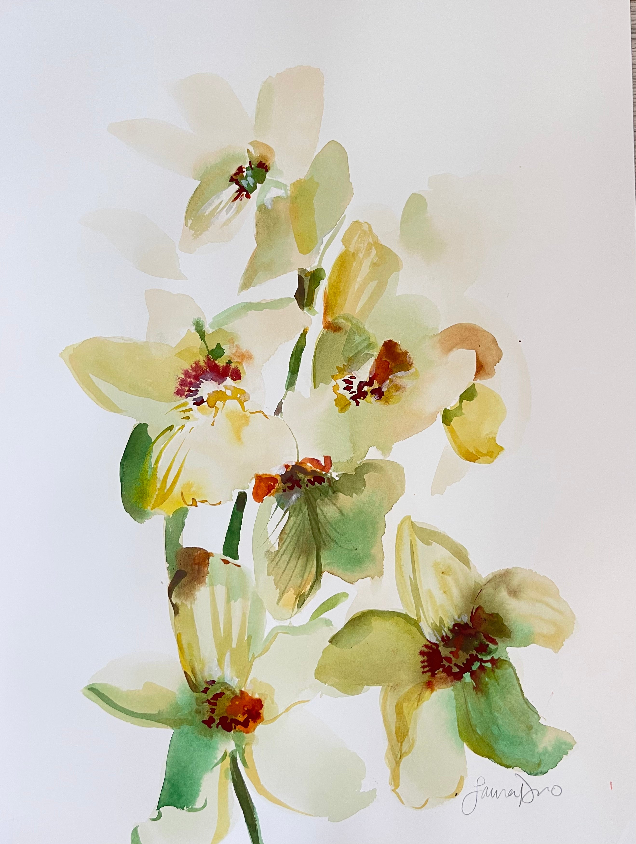 Velvet Orchid Illustration